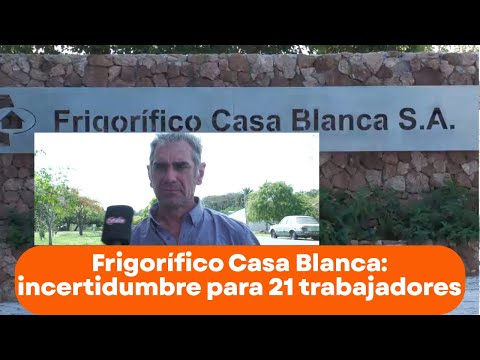 Frigorífico Casa Blanca: incertidumbre para 21 trabajadores en medio de la faena semanal