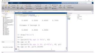 Matlab - more on Matrices, input command, plotting