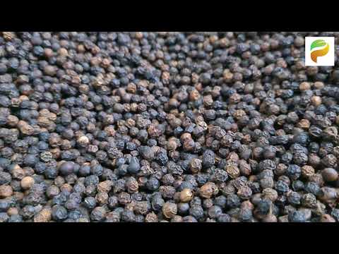 Whole Spices Organic Black Pepper