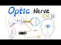 Optic Nerve Visual Pathway Cranial Nerve 2 CN II Neuroanatomy Series
