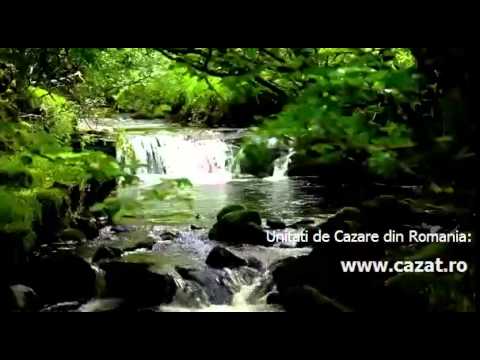 Cazare Alecus, Alba - Cazat.ro