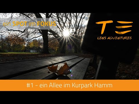 #01 - eine Allee im Kurpark Hamm - e1n SPOT im FOKUS