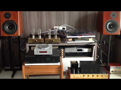 Audion Silvernight 300B "Ain't No Sunshine" Eva Cassidy