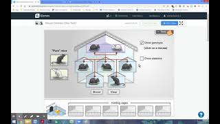 Mouse genetics walkthrough