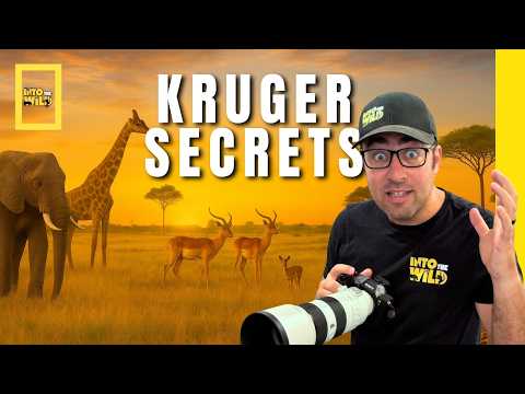 Kruger Park Secrets Revealed | 40 Years of Safari Experience