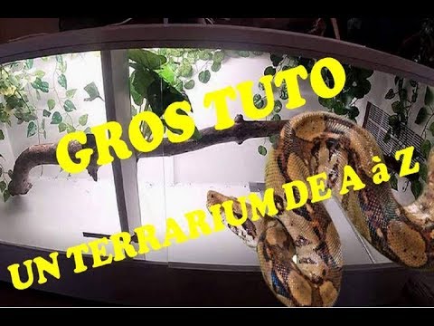 download lagu mp3 mp4 Terrarium Pour Boa Constrictor Imperator, download lagu Terrarium Pour Boa Constrictor Imperator gratis, unduh video klip Terrarium Pour Boa Constrictor Imperator