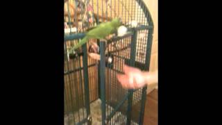 Paco
