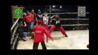 Download lagu pencak dor psht vs pagar nusa KO mp3