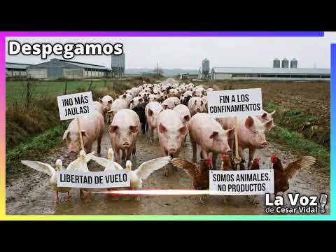 Despegamos: Búnker empresaurios, militarización europea, jugada húngara y confiscación española