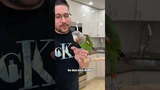 Kody is Bonded to My Wife