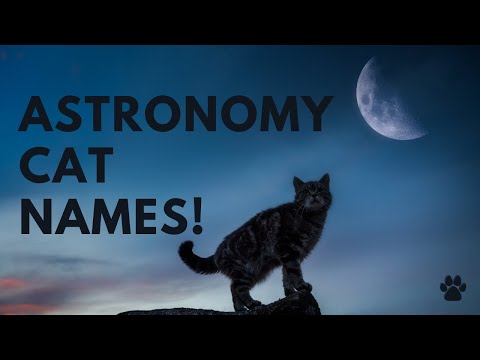 🌕 Astronomy Cat Names 27 🐾 CUTE 🐾 MYSTICAL 🐾 SPACE Ideas | Names