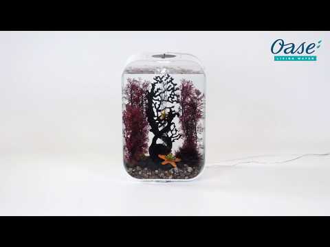 Watch Video on YouTube