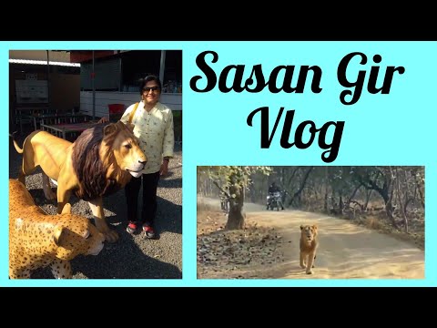 Sasan Gir Vlog | Dharmistha Ma'am