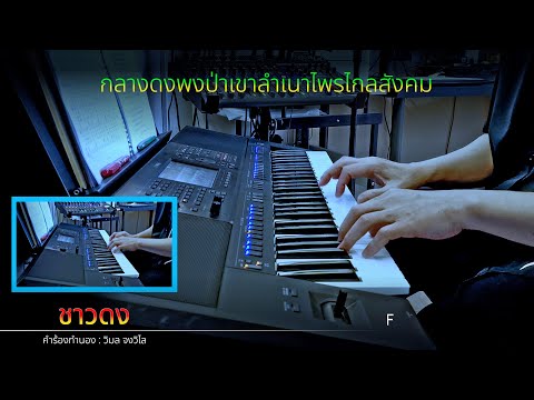 "ชาวดง" - Instrumental
