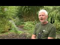 Hete zomer wordt planten in de botanische tuinen teveel [RTV Utrecht]