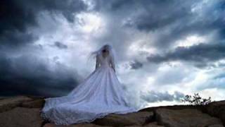 You&#39;re Not Shaken by &quot;Phil Stacey&quot;