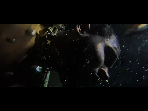 Asha Imuno - SIX PACK (Official Video)