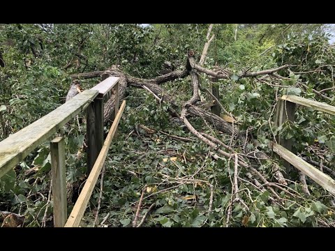Magee Marsh recovering from extensive storm damage | wtol.com