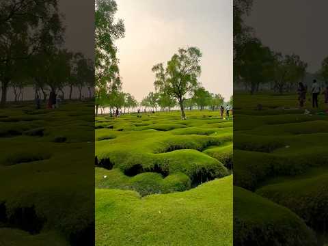 Sitakunda'r Hidden Jewel 🌴 | Guliyakhali Sea Beach