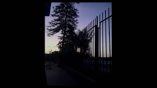 Fog Lake - Virgo Indigo (Lyrics/ Subtítulos Esp.)