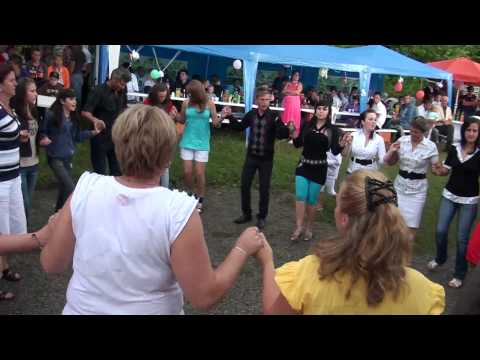 Maid Halilovic - Uzivo  Cajici