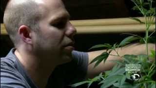 Weed Wars: Worlds Largest Medical Marijuana Dispensary [S01E01]
