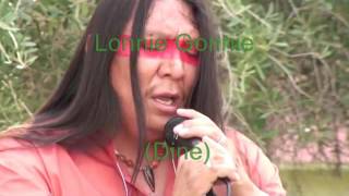 HEARTBEAT, WARBLE, AND THE ELECTRIC POWWOW: AMERICAN INDIAN MUSIC by Craig Harris