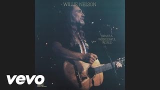 Willie Nelson, Julio Iglesias - Spanish Eyes