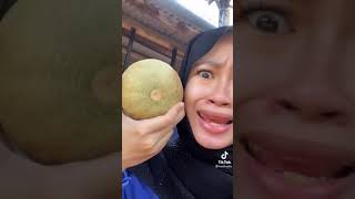 Download lagu Ini buah melon tapi kok kecil ?? || Tik tok pinatt terbaru mp3 Download lagu Ini buah melon tapi kok kecil ?? || Tik tok pinatt terbaru mp3