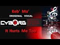 It Hurts Me Too Keb' Mo' ORIGINAL VOCALS AND LYRIC SYNC