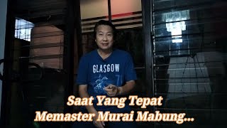 Download lagu The right time to master the molting magpie... mp3