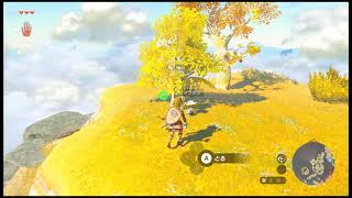 The Legend of Zelda: Tears of the Kingdom ：ゼルダの伝説　ティアーズ オブ ザ キングダム　Playing movie ④
