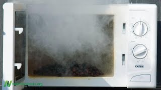 Are Microwaves Safe?