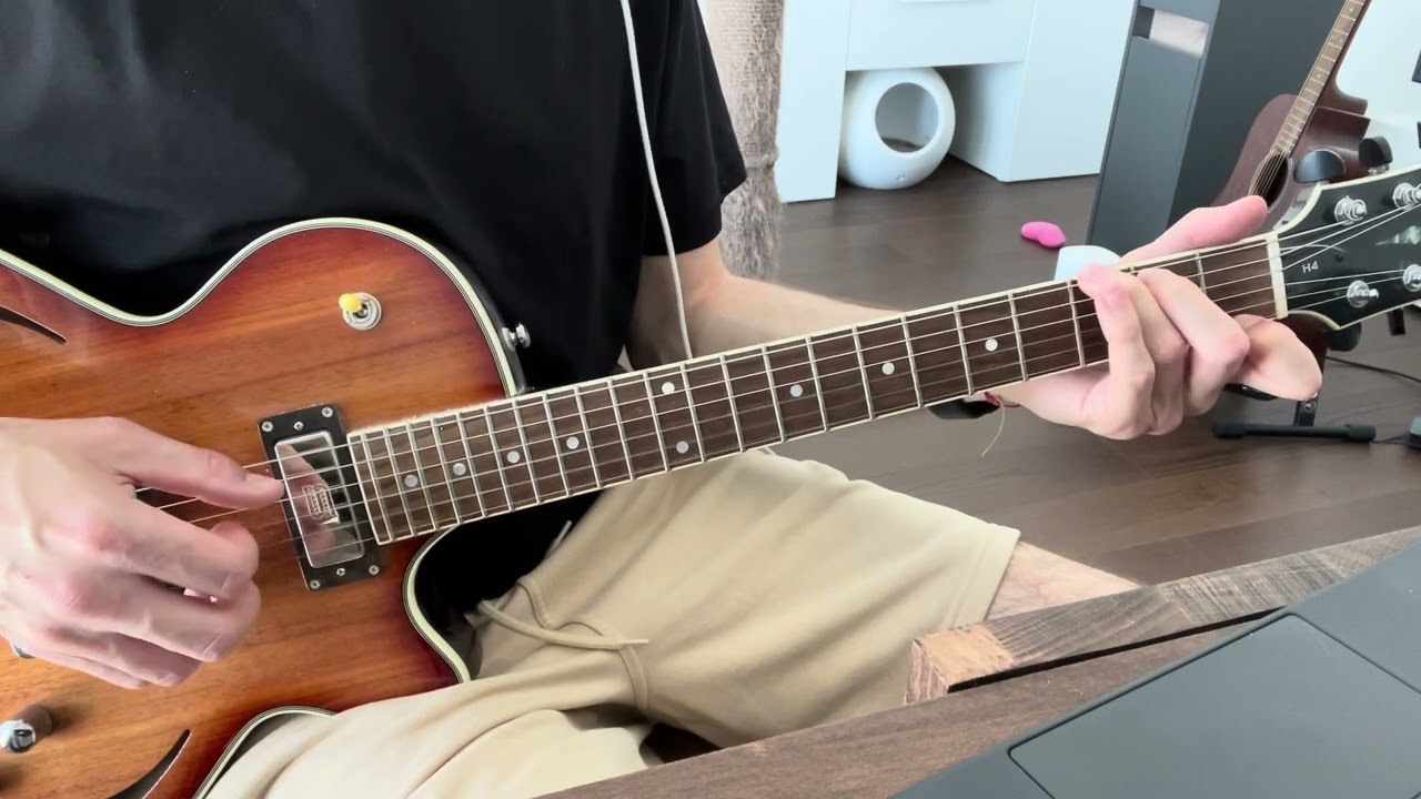 Roberto Barlocci playing the Malcolm in the Middle theme fingerstyle on guitar