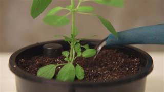 V&iacute;deo do produto