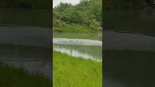 DANGEROUS WATER HOLE #shorts #waterhole