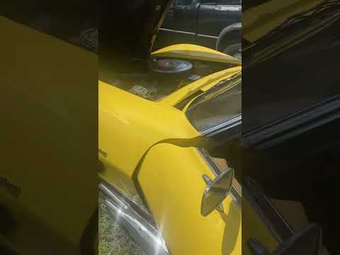 1973 Chevrolet Corvette Stingray (CC-1811028) for sale in Hollywood, Florida