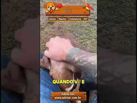 Vídeo de Thor