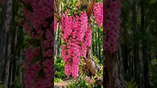 16 de março de 2026