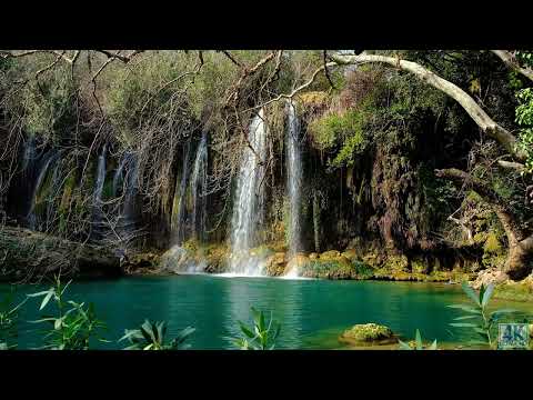 Jungle Waterfall in Full HD | Beautiful Waterfall 4k Video | Heavy Waterfall video