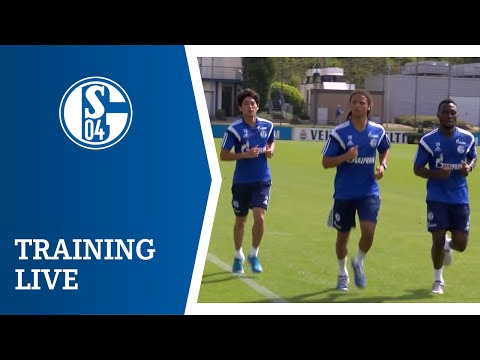Schalke 04 Kindertrikot 201415 auf vergleichen + Schalke 04 Kindertrikot 201415 auf vergleichen +