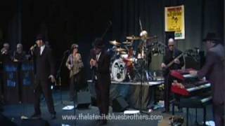 The Late Nite Blues Brothers-Messin' With the Kid!