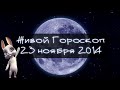 Смешная Зайка Zoobe - гороскоп для ТЕЛЬЦОВ . + Ржачный прикол! 