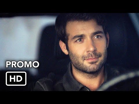 Zoo 3.05 (Preview)