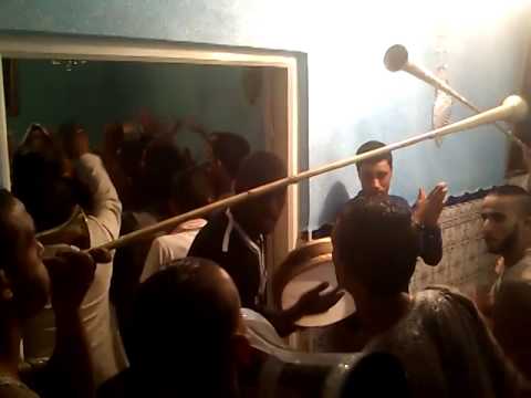 groupe hamama planteurs 2015