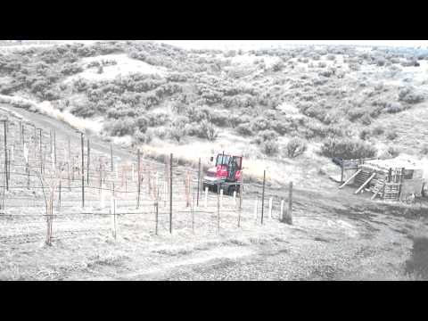 Yanmar T80 Tractor Crawler From Washington Tractor Lynden In Vineyard