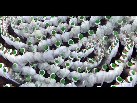 Süper Ilahiler - Dağlar bile zikreder - Ekrem Kaya...