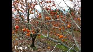 SAYAH and remix music African