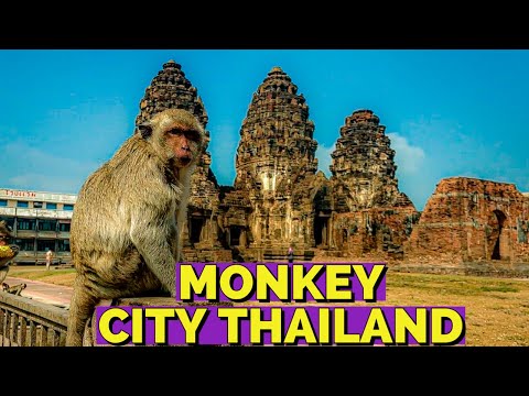 Should You Visit Monkey City Thailand in 2023? (Lopburi)