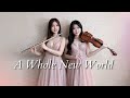 迪士尼 阿拉丁A Whole New World Violin And Flute Version Cover By 長笛琴人